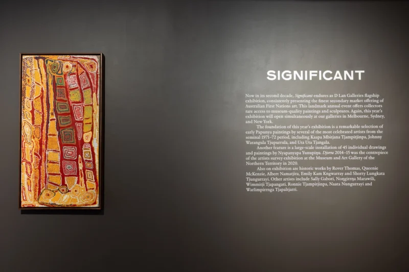 Installation shot from SIGNIFICANT, @ D LAN GALLERIES