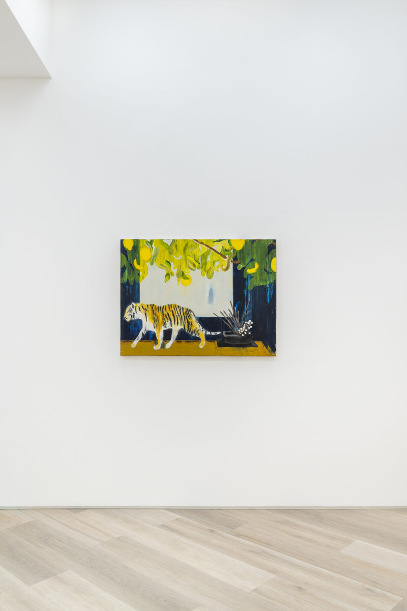 Installation shot from Matthew Cole: Cabin Fever, @ BEERS London