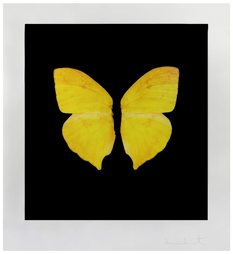 Image for Summer Show, at Shapero Modern