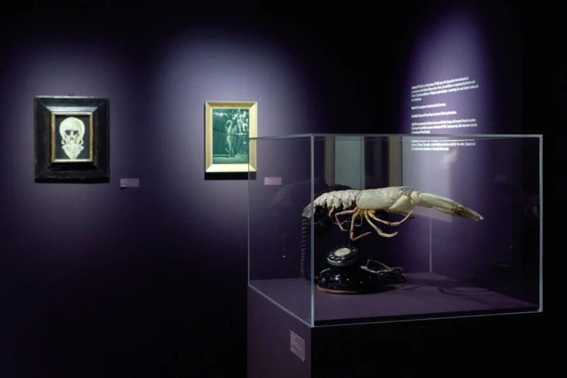 Installation shot from Dalí: The Great Years, 1929-1939, @ Di Donna