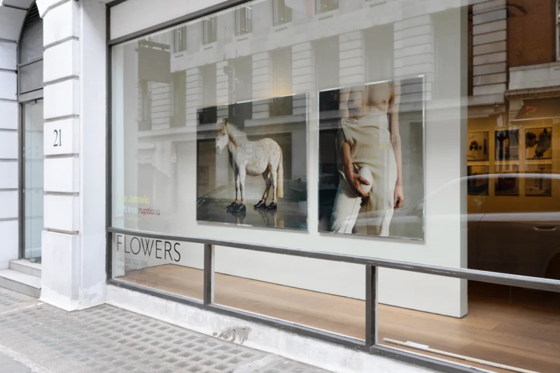 Installation shot from Lisa Jahovic: Soft Interruptions, @ Flowers Gallery