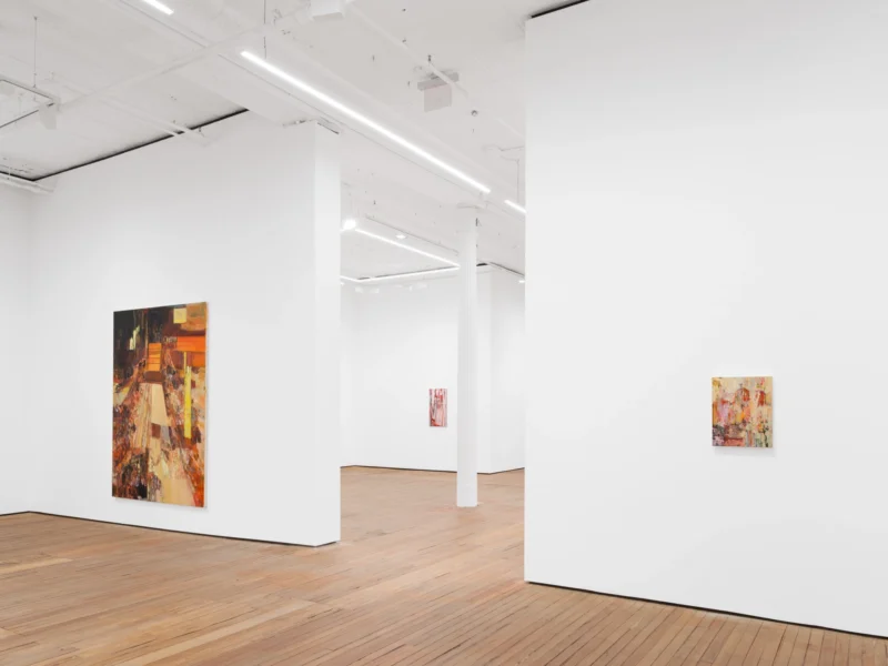 Installation shot from Francesca Mollett: Buried shadow, @ GRIMM