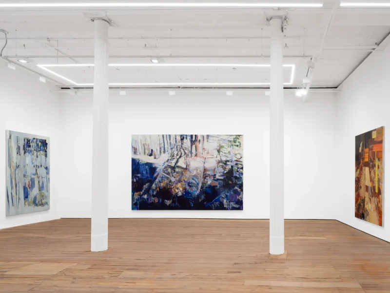 Installation shot from Francesca Mollett: Buried shadow, @ GRIMM