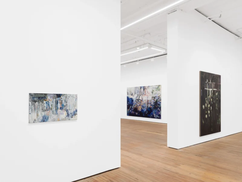 Installation shot from Francesca Mollett: Buried shadow, @ GRIMM