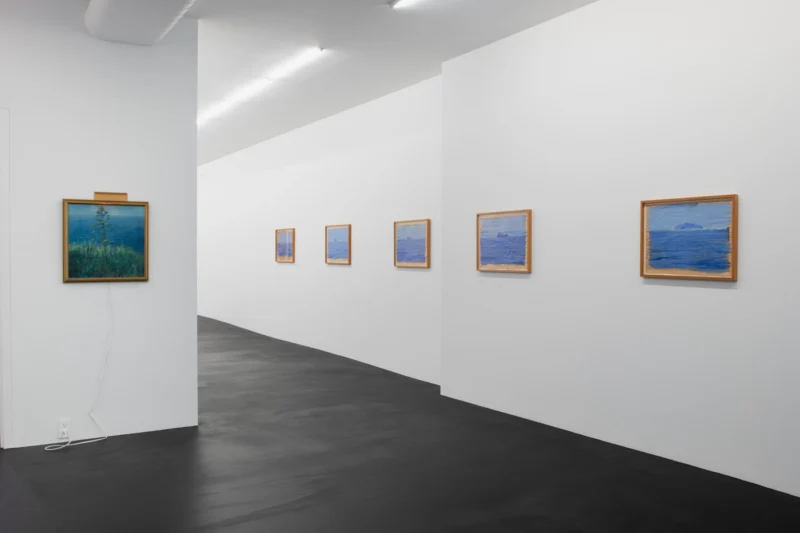 Installation shot from Paul Thek, @ Galerie Buchholz