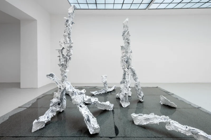 Installation shot from Karl Karner: Wasserspiele, @ Galerie Kandlhofer