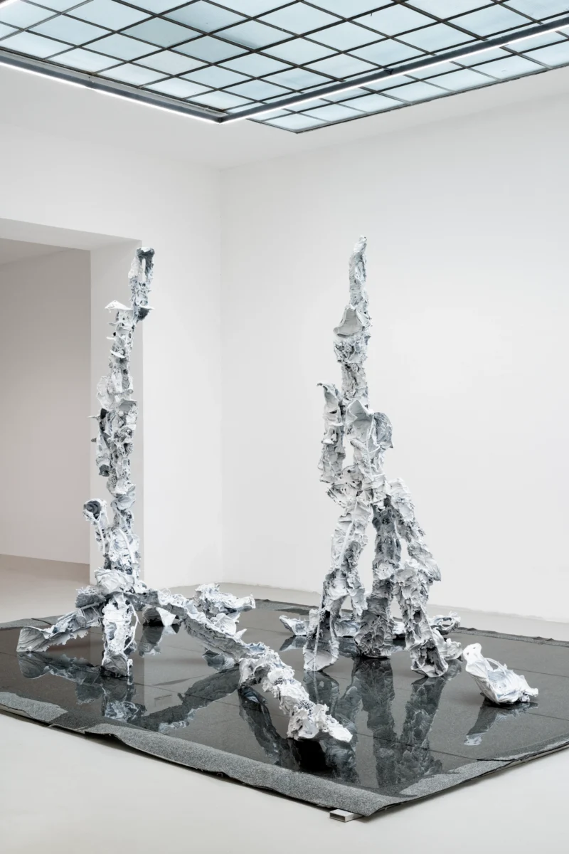 Installation shot from Karl Karner: Wasserspiele, @ Galerie Kandlhofer