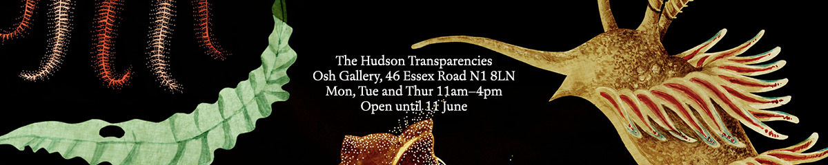 The Hudson Transparencies @ Osh Gallery, London