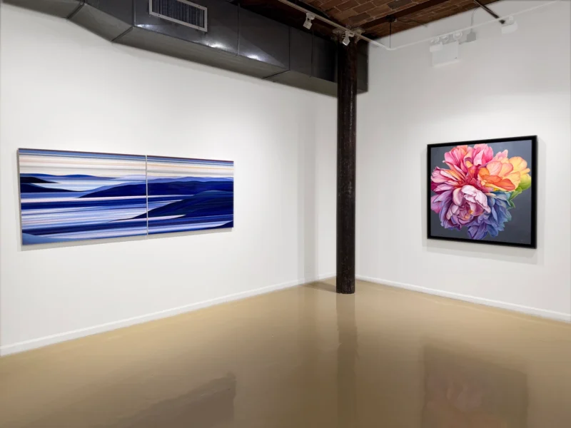Installation shot from Carin/Rebecca, @ Gallery Henoch