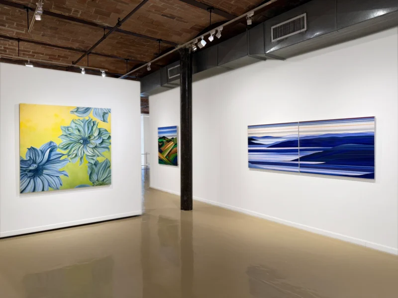 Installation shot from Carin/Rebecca, @ Gallery Henoch
