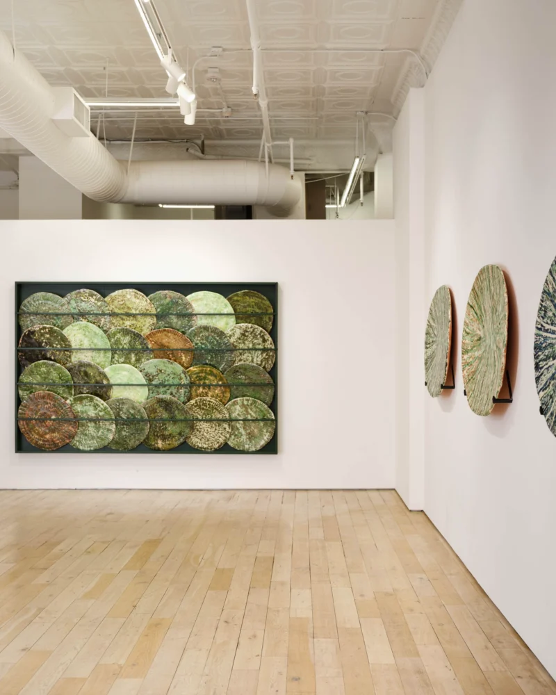 Installation shot from Marit Tingleff: Into the Green, @ HB381