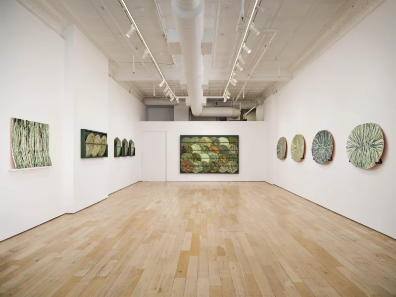 Installation shot from Marit Tingleff: Into the Green, @ HB381