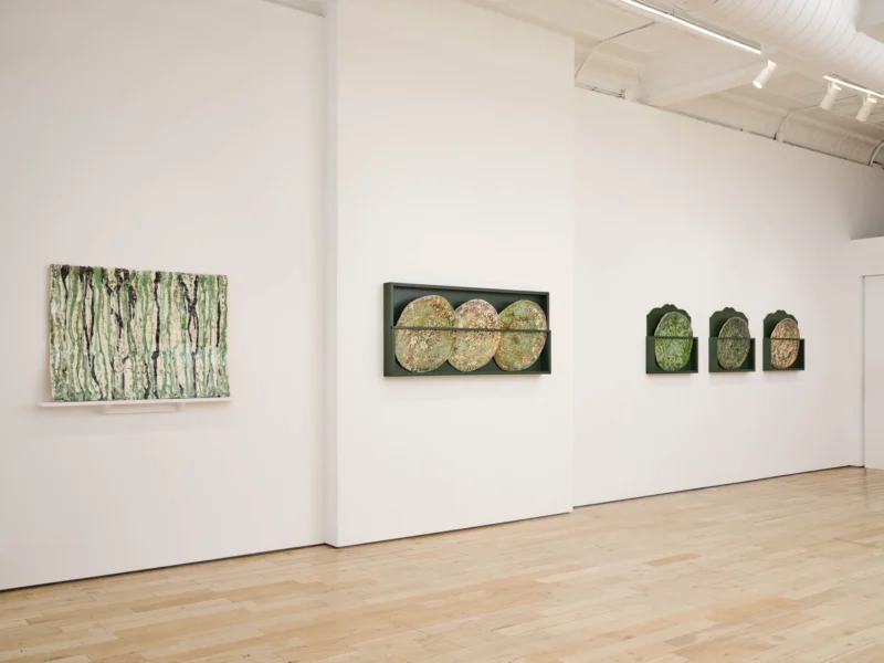 Installation shot from Marit Tingleff: Into the Green, @ HB381