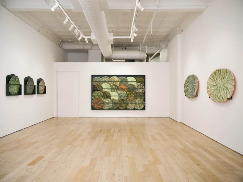 Installation shot from Marit Tingleff: Into the Green, @ HB381
