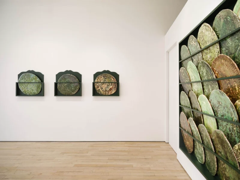 Installation shot from Marit Tingleff: Into the Green, @ HB381