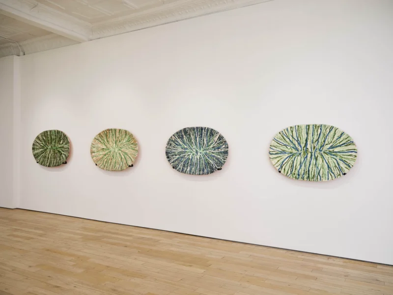 Installation shot from Marit Tingleff: Into the Green, @ HB381