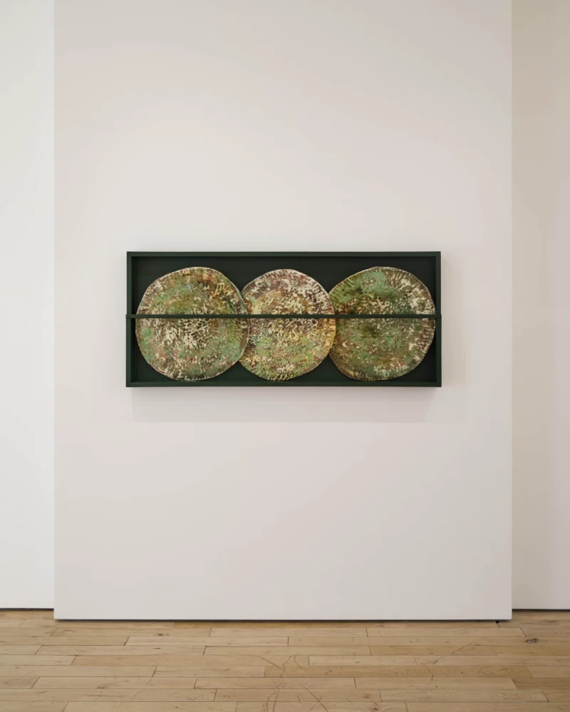 Installation shot from Marit Tingleff: Into the Green, @ HB381