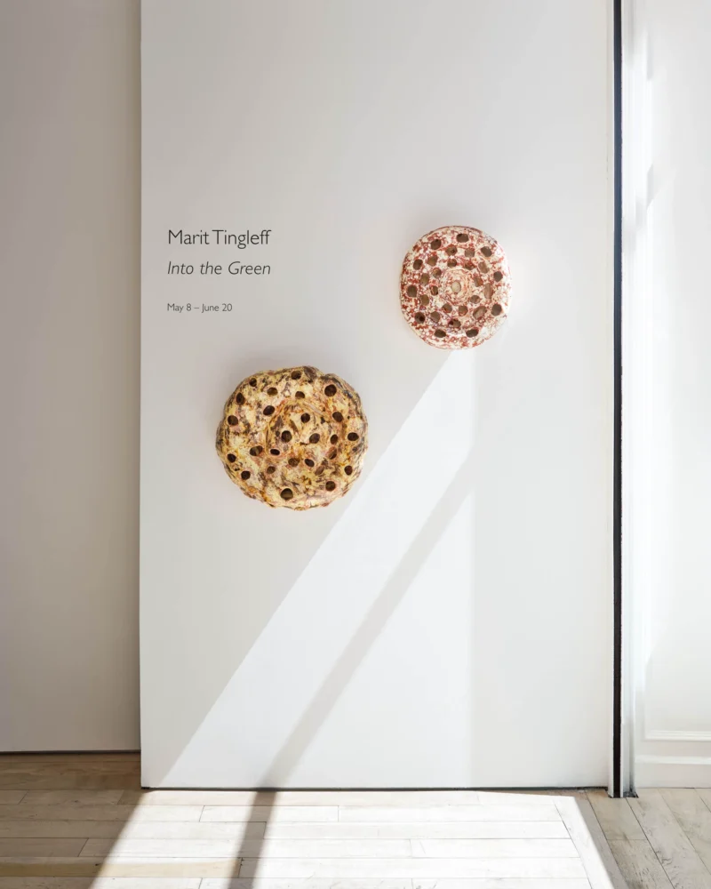 Installation shot from Marit Tingleff: Into the Green, @ HB381
