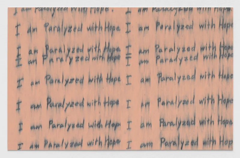 Roni Horn, Seizure of Hope (71), 2025