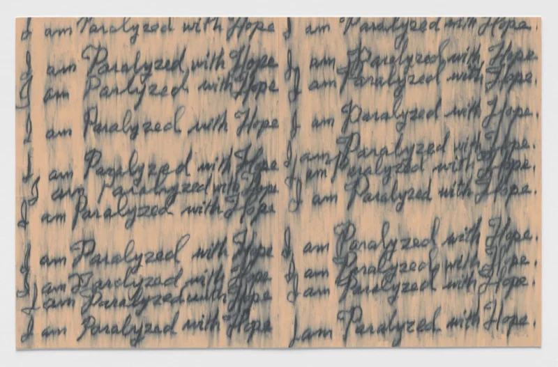 Roni Horn, Seizure of Hope (92), 2025