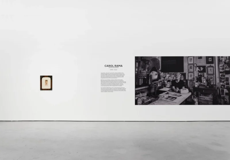 Installation shot from Carol Rama. I See You You See Me, @ Hauser & Wirth