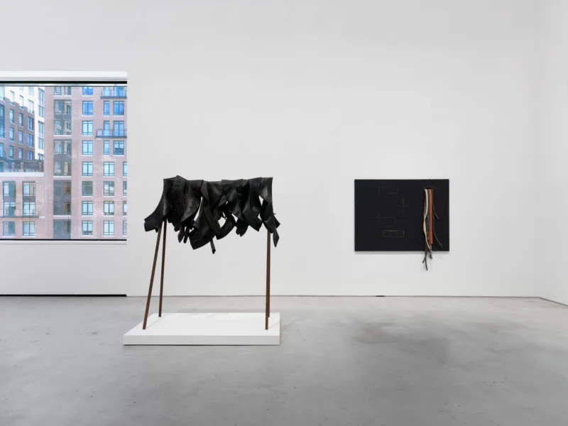 Installation shot from Carol Rama. I See You You See Me, @ Hauser & Wirth
