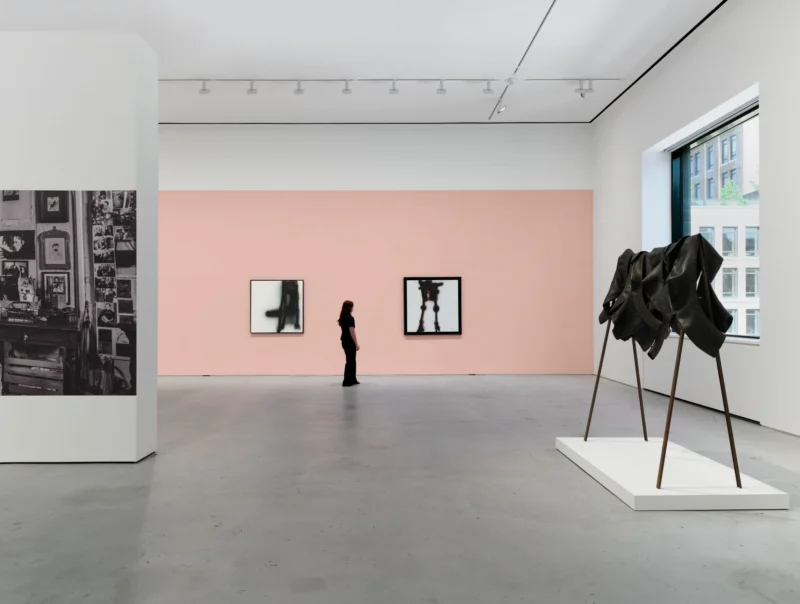 Installation shot from Carol Rama. I See You You See Me, @ Hauser & Wirth