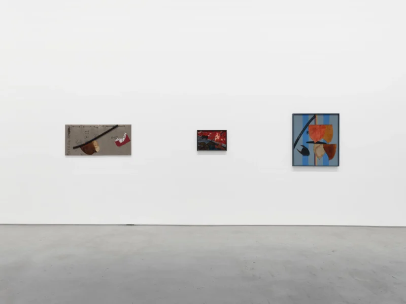 Installation shot from Carol Rama. I See You You See Me, @ Hauser & Wirth