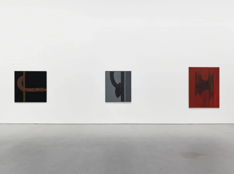 Installation shot from Carol Rama. I See You You See Me, @ Hauser & Wirth