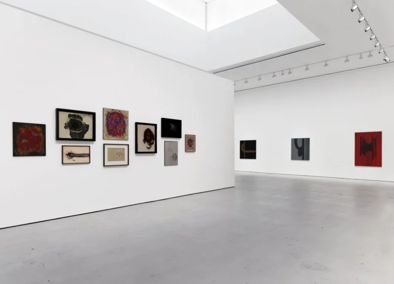 Installation shot from Carol Rama. I See You You See Me, @ Hauser & Wirth