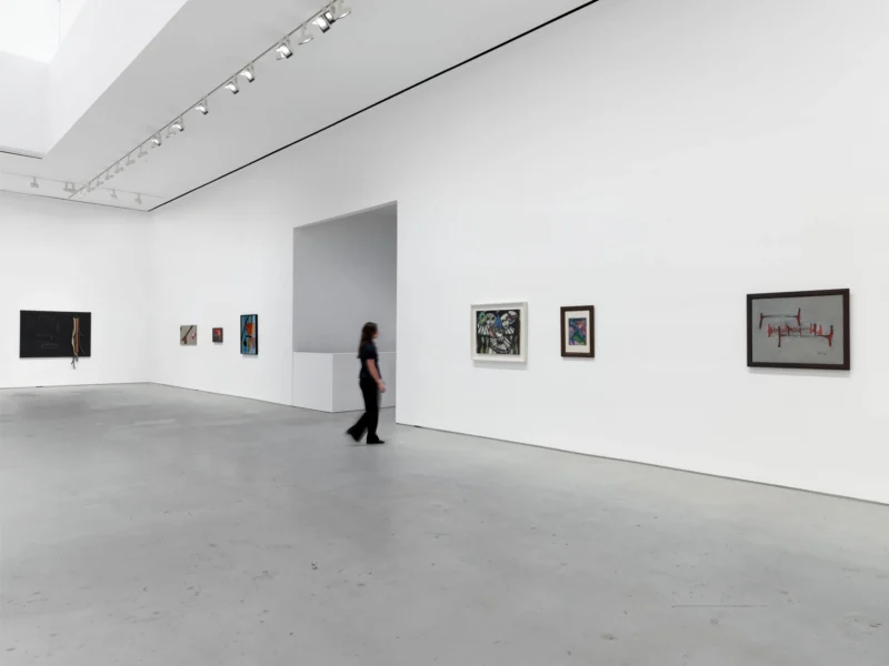 Installation shot from Carol Rama. I See You You See Me, @ Hauser & Wirth