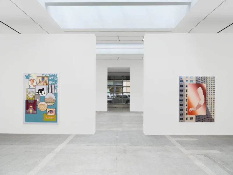Installation shot from Allison Katz. Outta the Bag, @ Hauser & Wirth