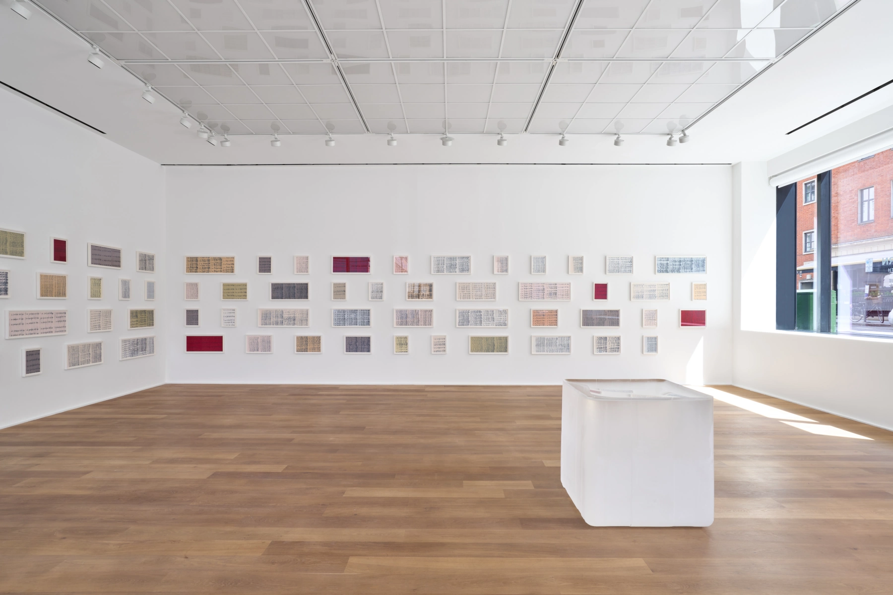 Image for Roni Horn. Seizure of Hope, at Hauser & Wirth