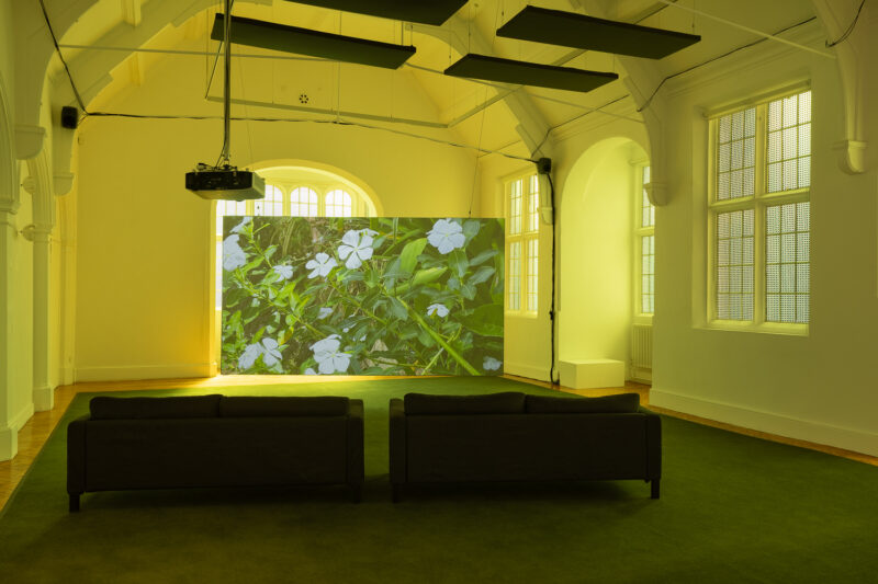 Installation shot from Ain Bailey: The Jamaica Project, @ Camden Art Centre
