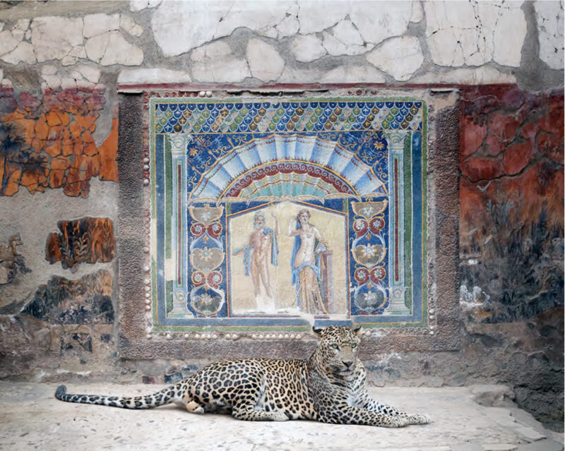 Unknown artist, Bacchus in Attendance, House of Neptune and Amphitrite, Herculaneum, 2024