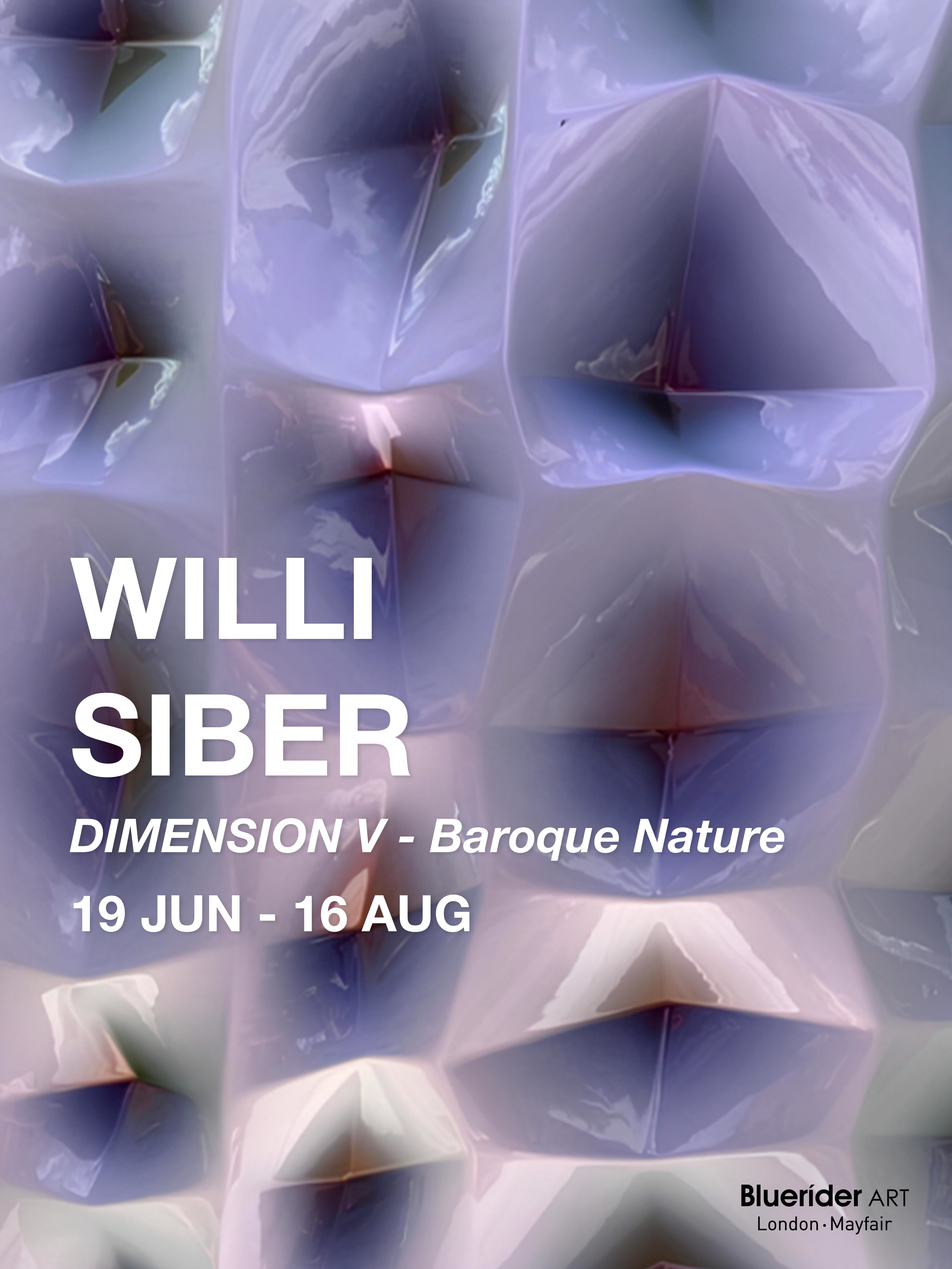 Image for Willi Siber: Dimension V - Baroque Nature, at Bluerider ART London