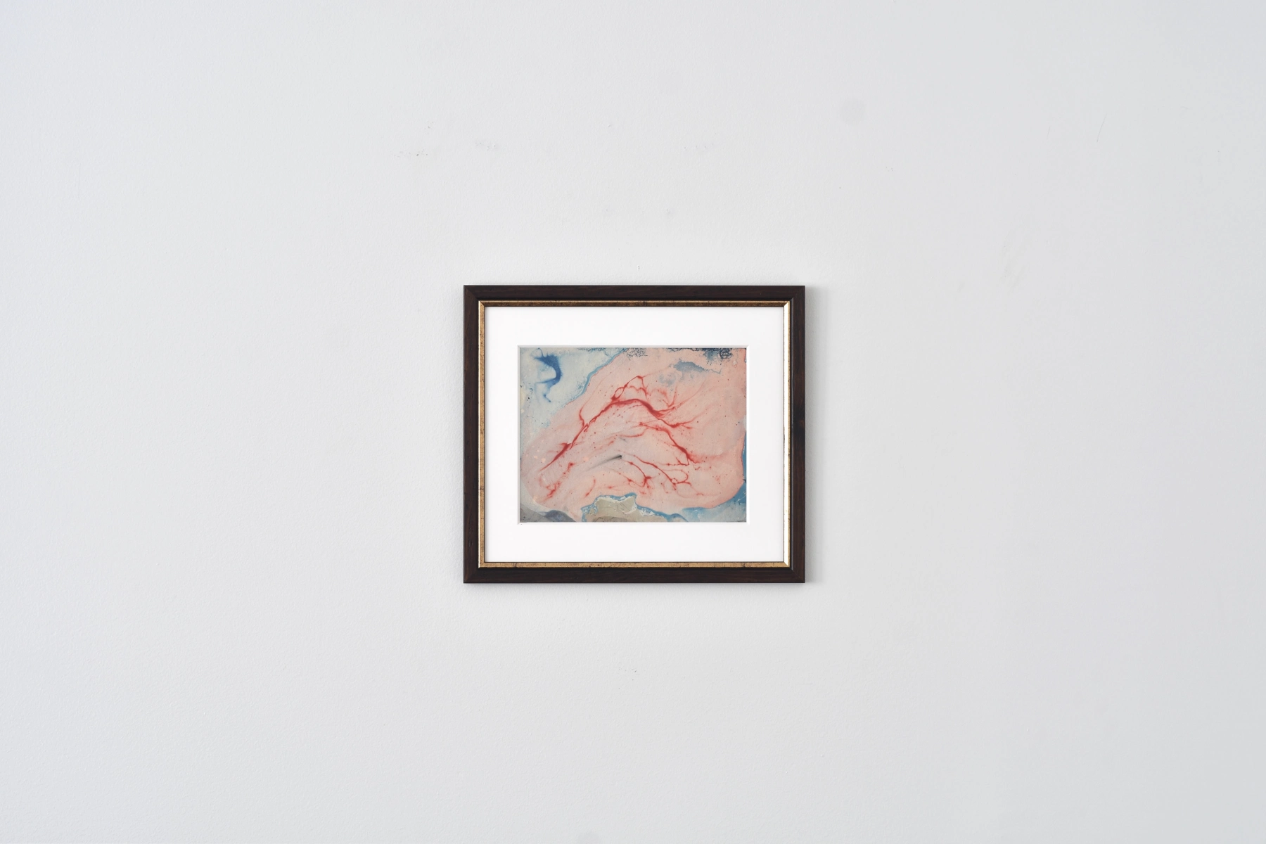 Image for Louise Janin: Cosmogrammes 1953-1965, at Nagas