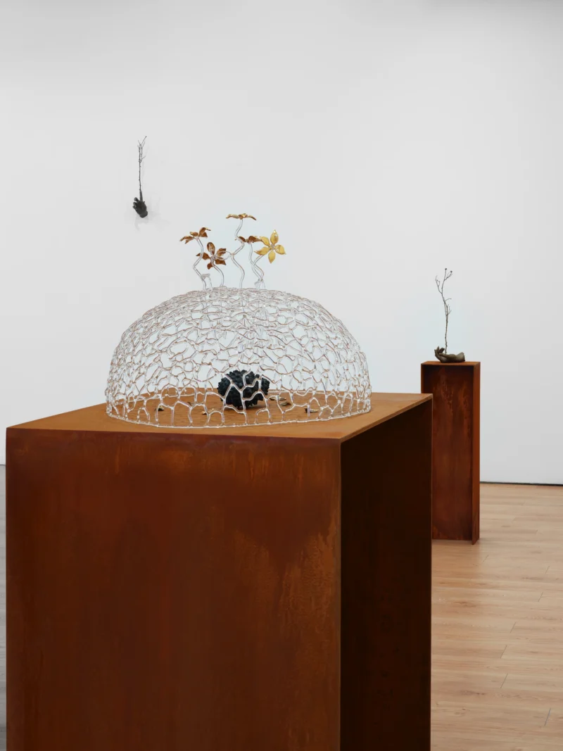 Installation shot from Kelly Akashi: Heirloom, @ Lisson Gallery