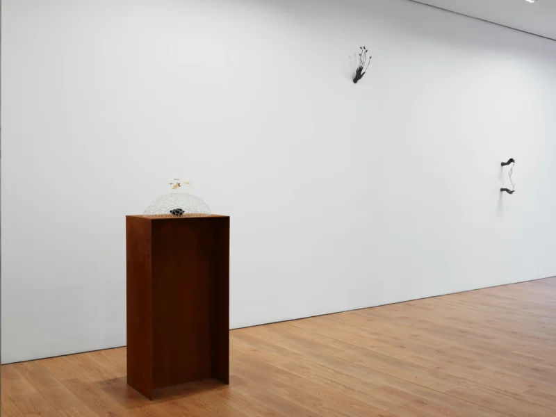 Installation shot from Kelly Akashi: Heirloom, @ Lisson Gallery