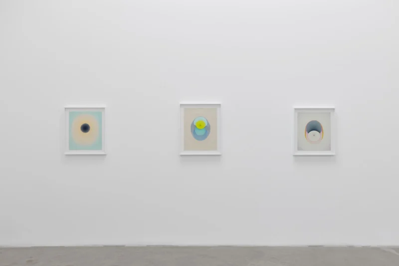 Installation shot from Melissa Huddleston: The Drops, @ Luis De Jesus Los Angeles