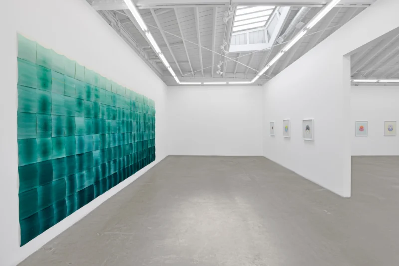 Installation shot from Melissa Huddleston: The Drops, @ Luis De Jesus Los Angeles