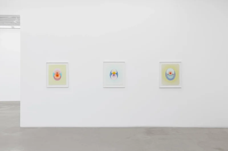 Installation shot from Melissa Huddleston: The Drops, @ Luis De Jesus Los Angeles