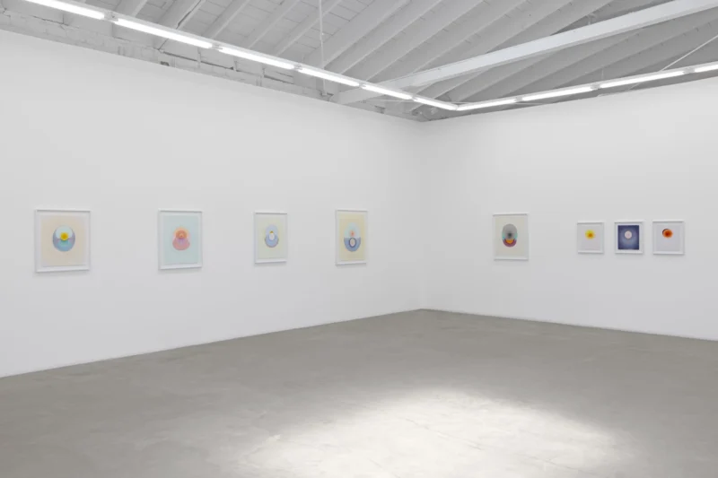 Installation shot from Melissa Huddleston: The Drops, @ Luis De Jesus Los Angeles