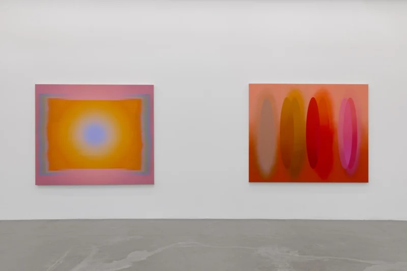 Installation shot from Nicolas Grenier: Flags, @ Luis De Jesus Los Angeles