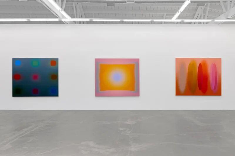 Installation shot from Nicolas Grenier: Flags, @ Luis De Jesus Los Angeles