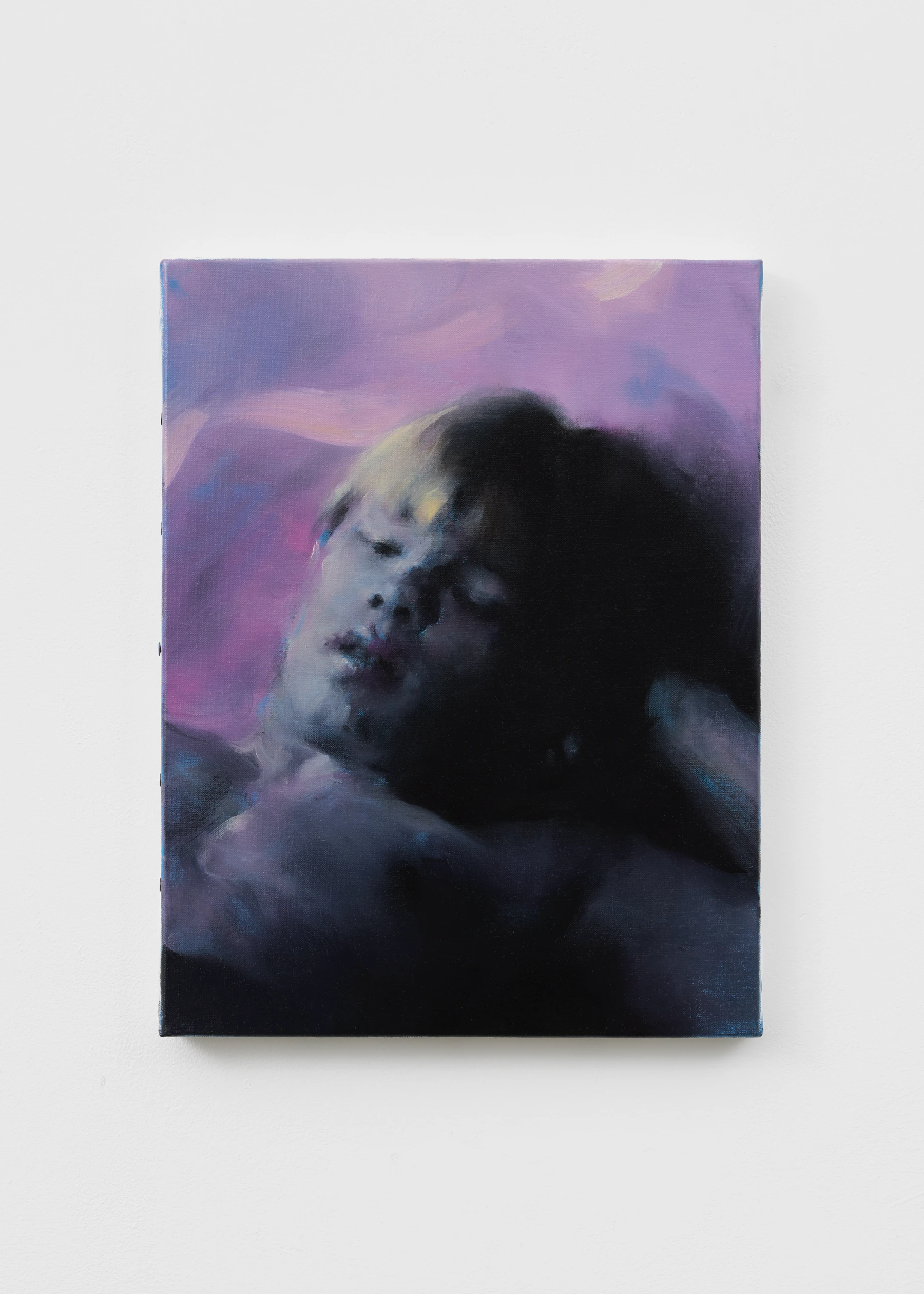Image for Paul P.: The Fugitive Marvels of Sunset, at Maureen Paley