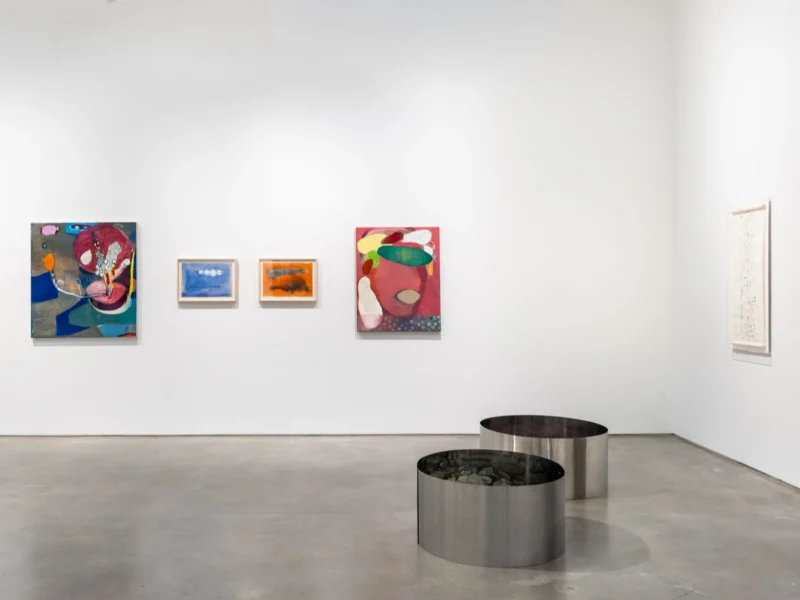 Installation shot from Amelia Toledo and Cristina Canale: On the Nature of Figures, @ Nara Roesler