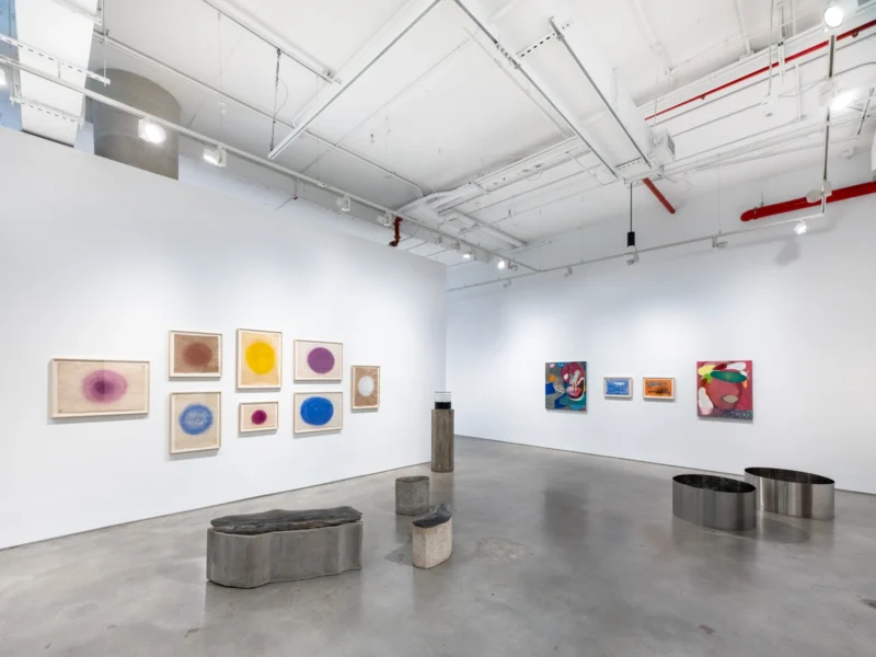 Installation shot from Amelia Toledo and Cristina Canale: On the Nature of Figures, @ Nara Roesler