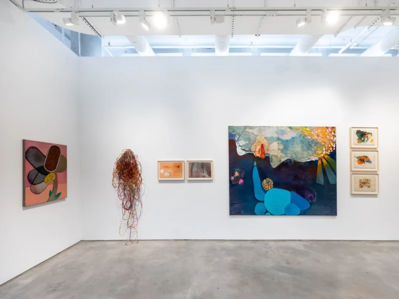 Installation shot from Amelia Toledo and Cristina Canale: On the Nature of Figures, @ Nara Roesler