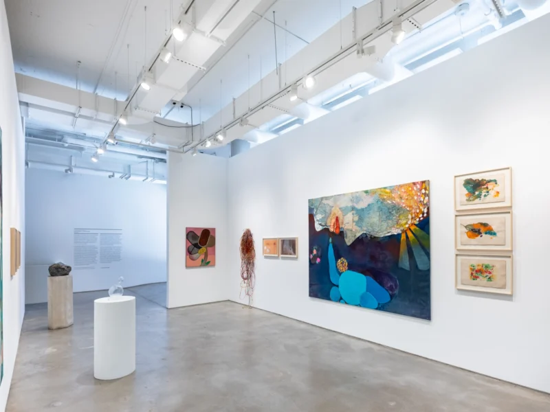 Installation shot from Amelia Toledo and Cristina Canale: On the Nature of Figures, @ Nara Roesler
